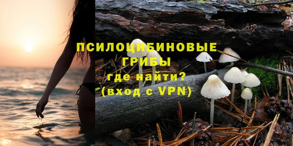 герыч Осинники