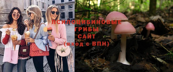 ПСИЛОЦИБИНОВЫЕ ГРИБЫ Алексин