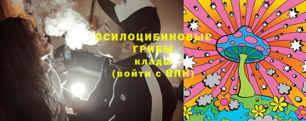 бошки Алзамай