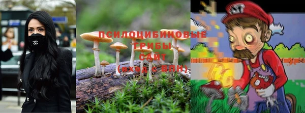 2c-b Алексеевка